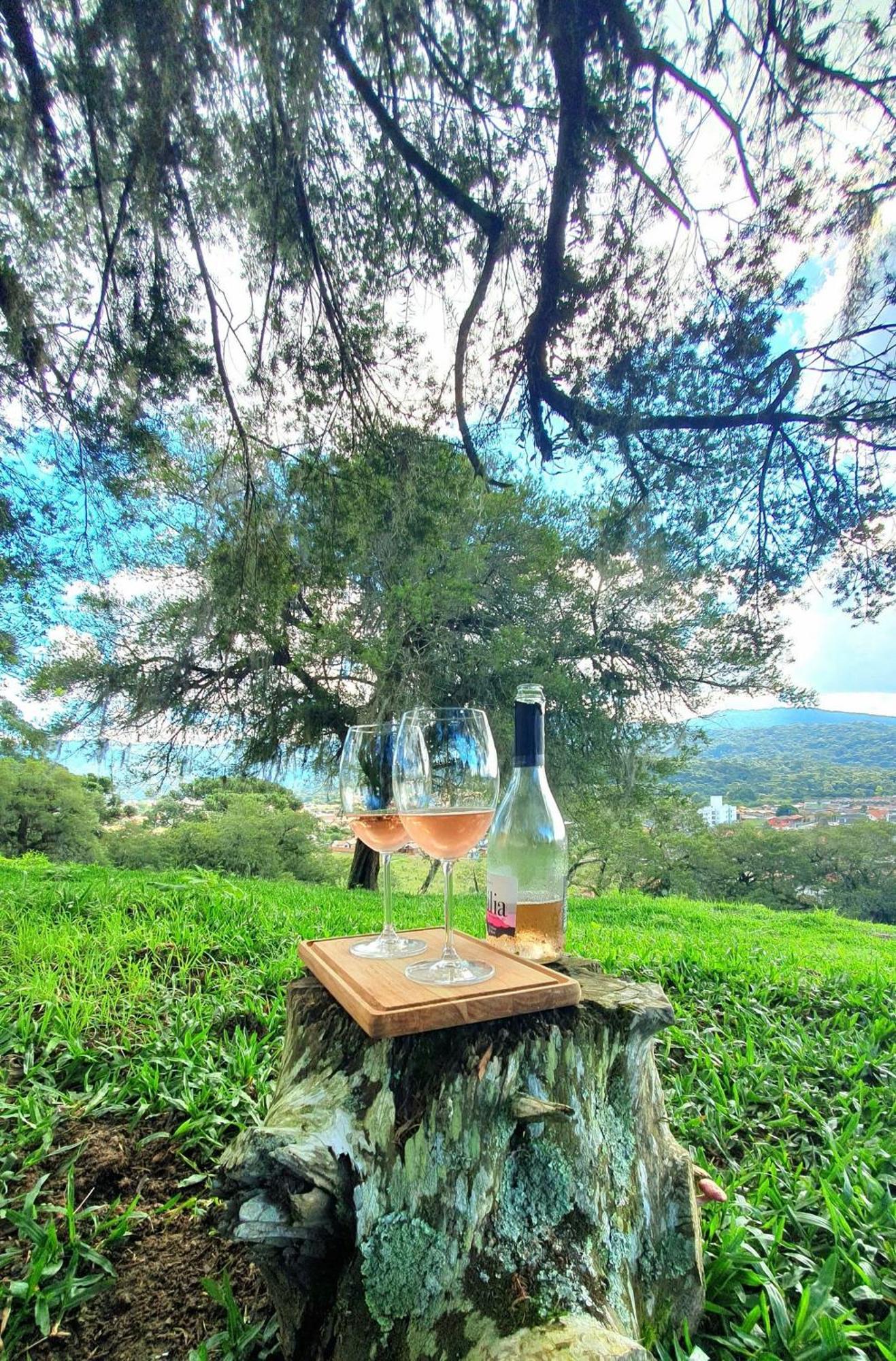Cabana Canto Lindo - Urubici-Sc Экстерьер фото