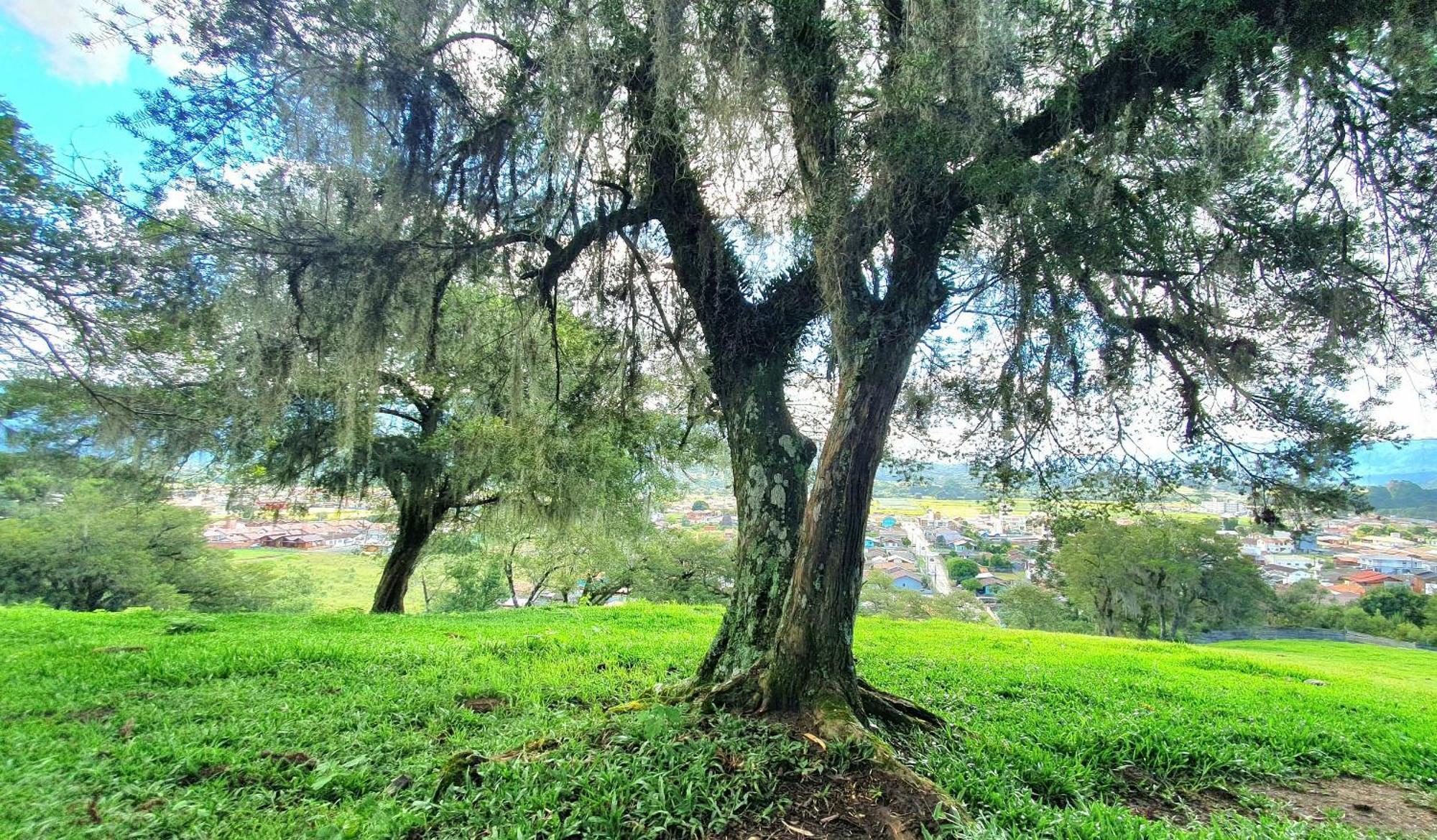 Cabana Canto Lindo - Urubici-Sc Экстерьер фото